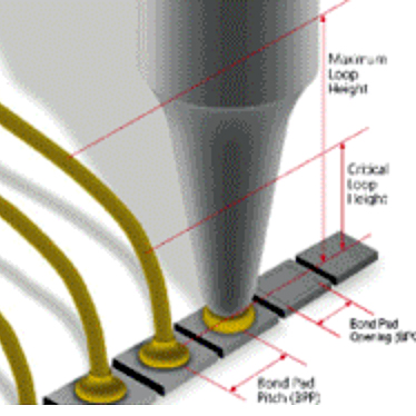 Capillary